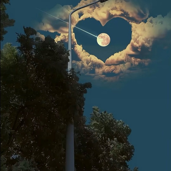 Meet your Posher, Elvira - Picture 1 of 1